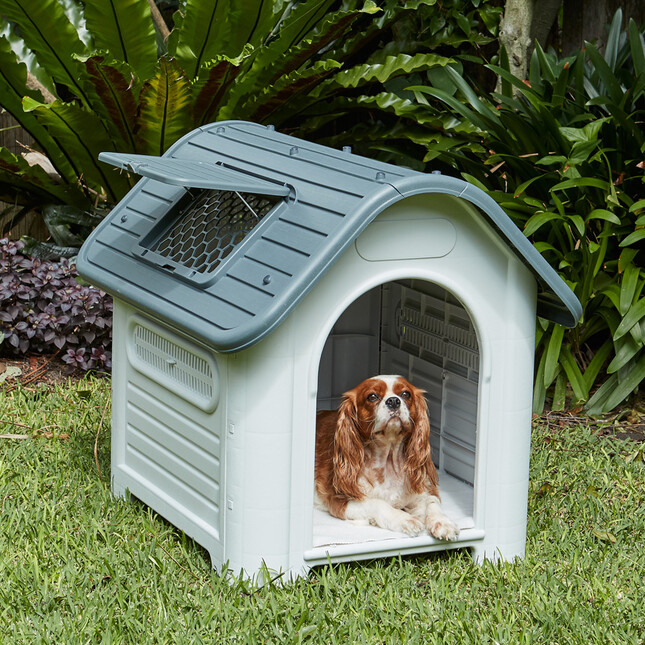 Bushlands Pet Retreat A kennel (in our kennel) if you wish